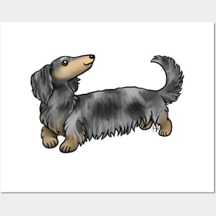 Dog - Long Haired Dachshund - Dapple Posters and Art